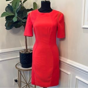 Beautiful Ted baker red dress
